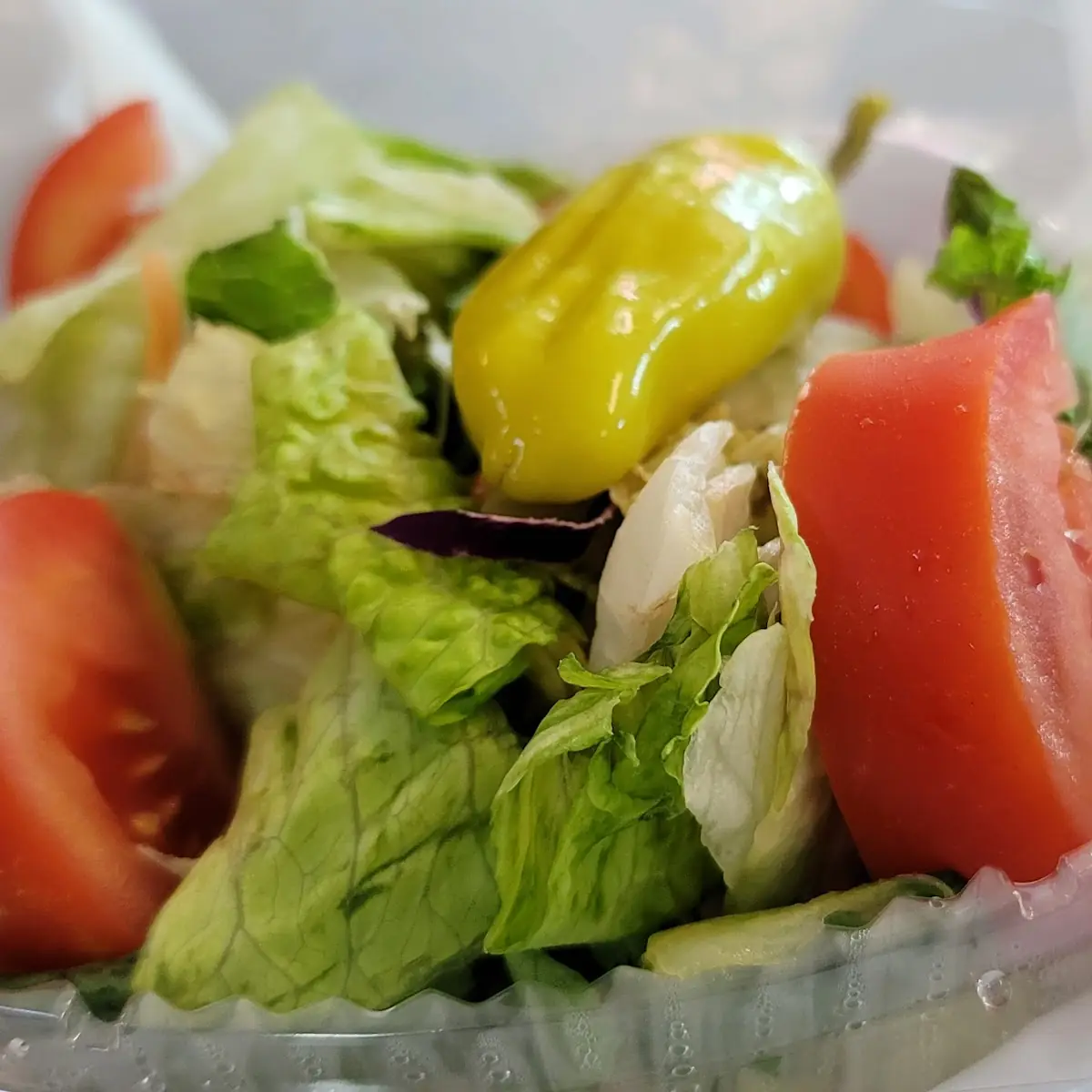 Small Garden Salad