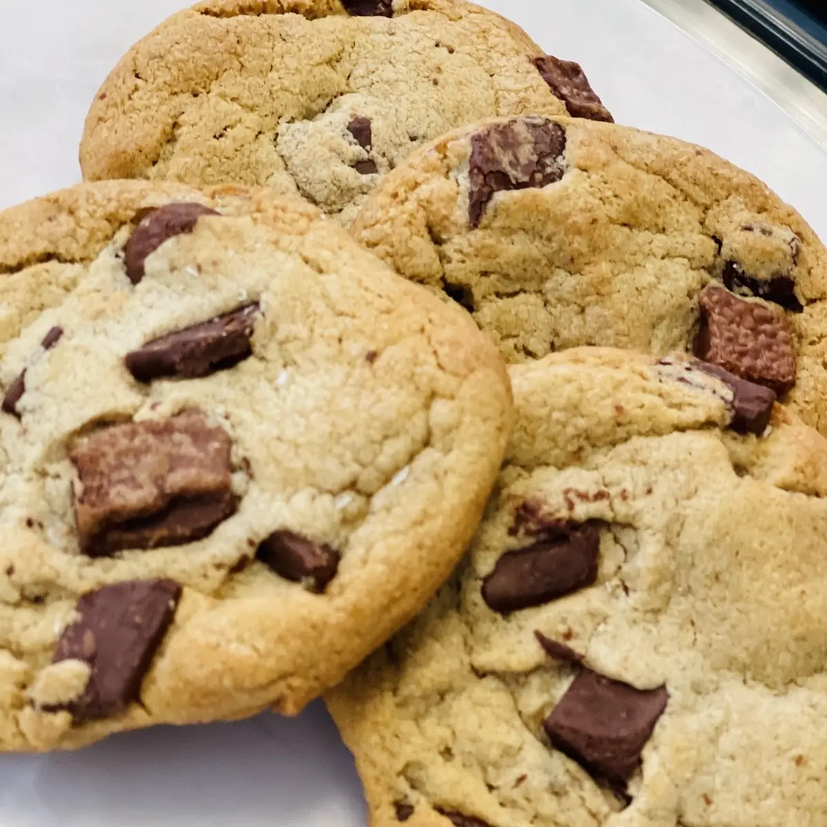 Chocolate Chip Cookie