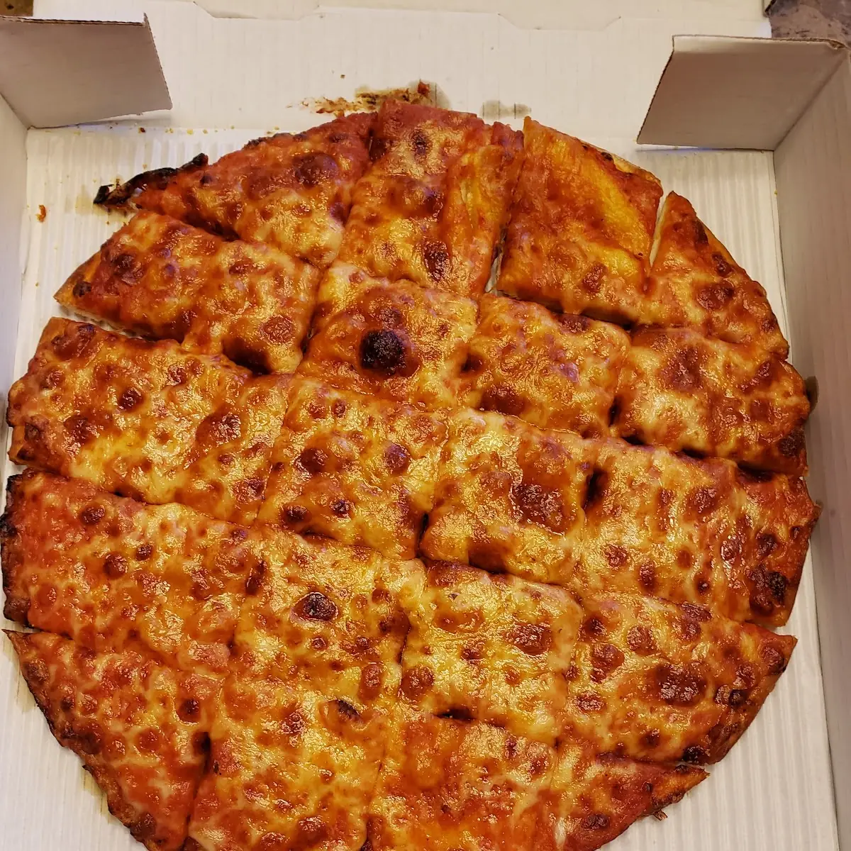 Medium Cheese Pizza