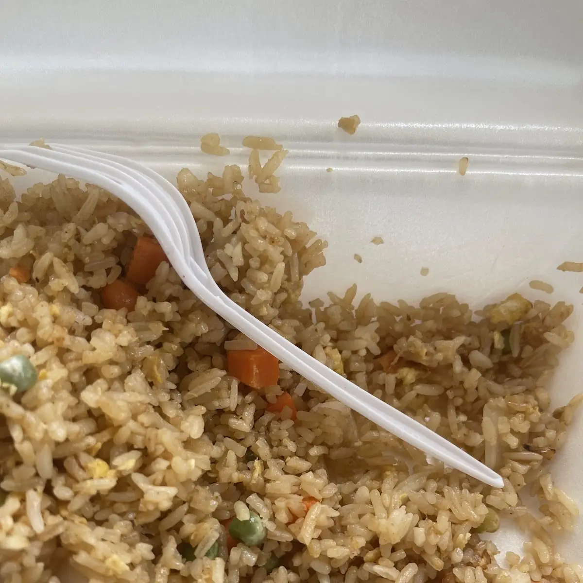Fried Rice