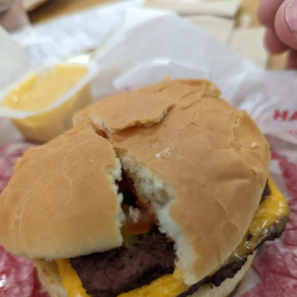 Double Cheeseburger