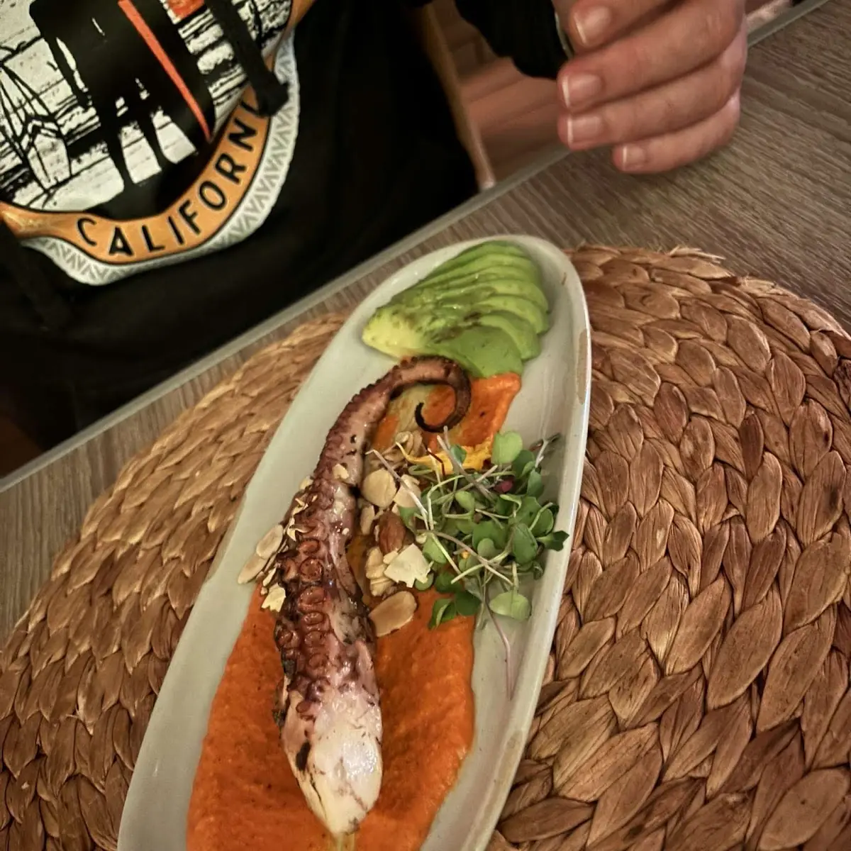 Octopus Tako