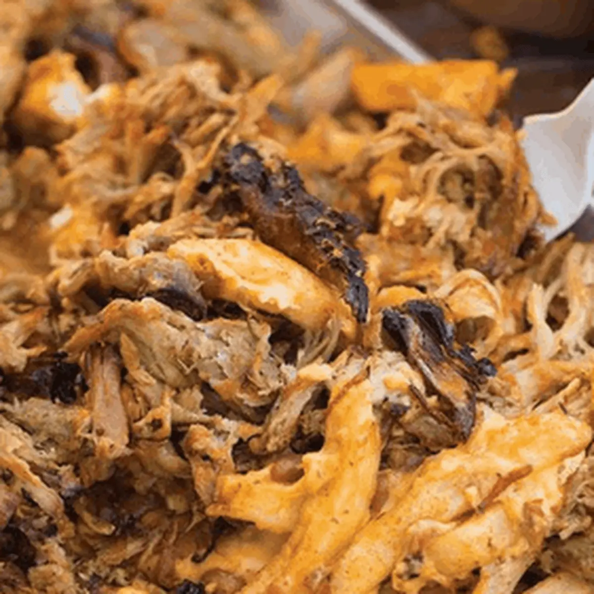 Cheesy Pulled Pork Fries
