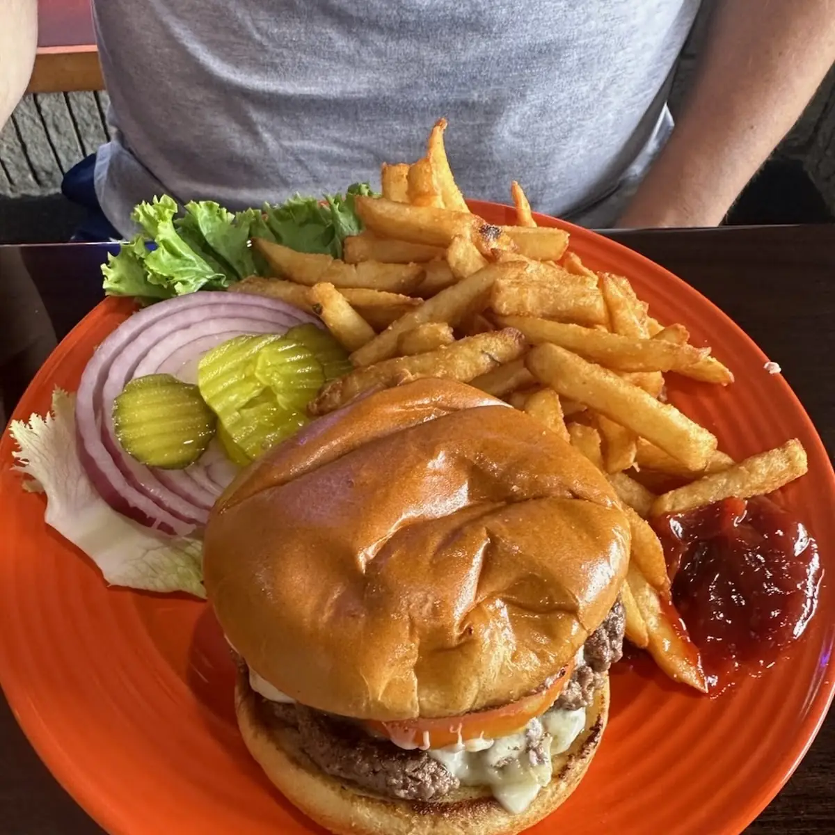 Cheese Burger and Fries