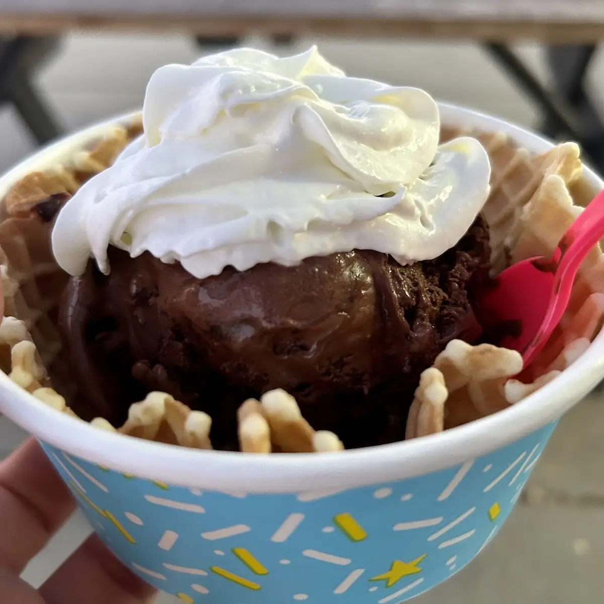 Double Chocolate Ice Cream