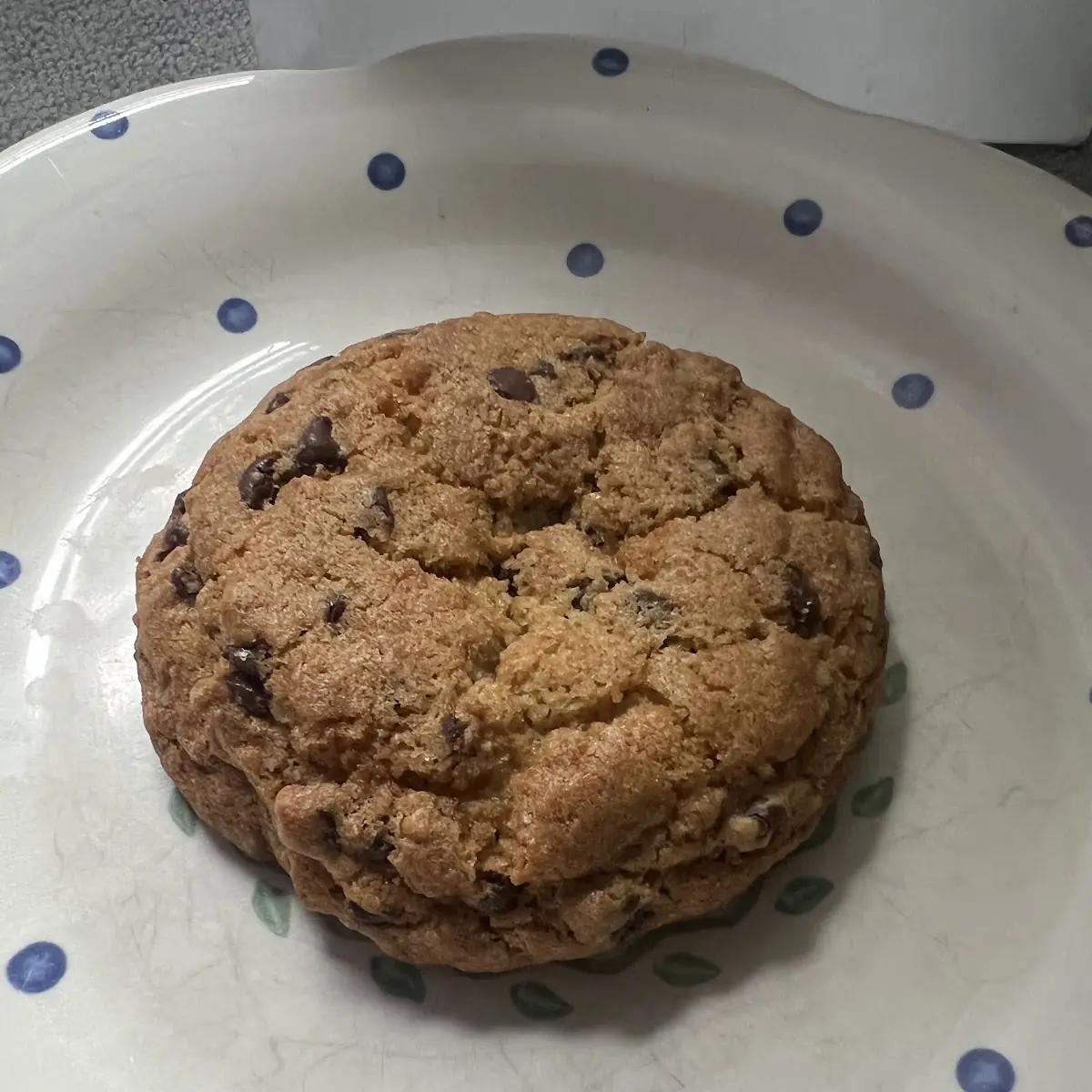 Chocolate Chip Cookie