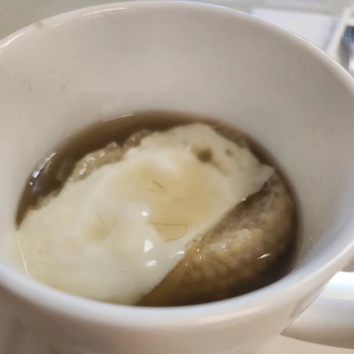 French Onion Soup Daily