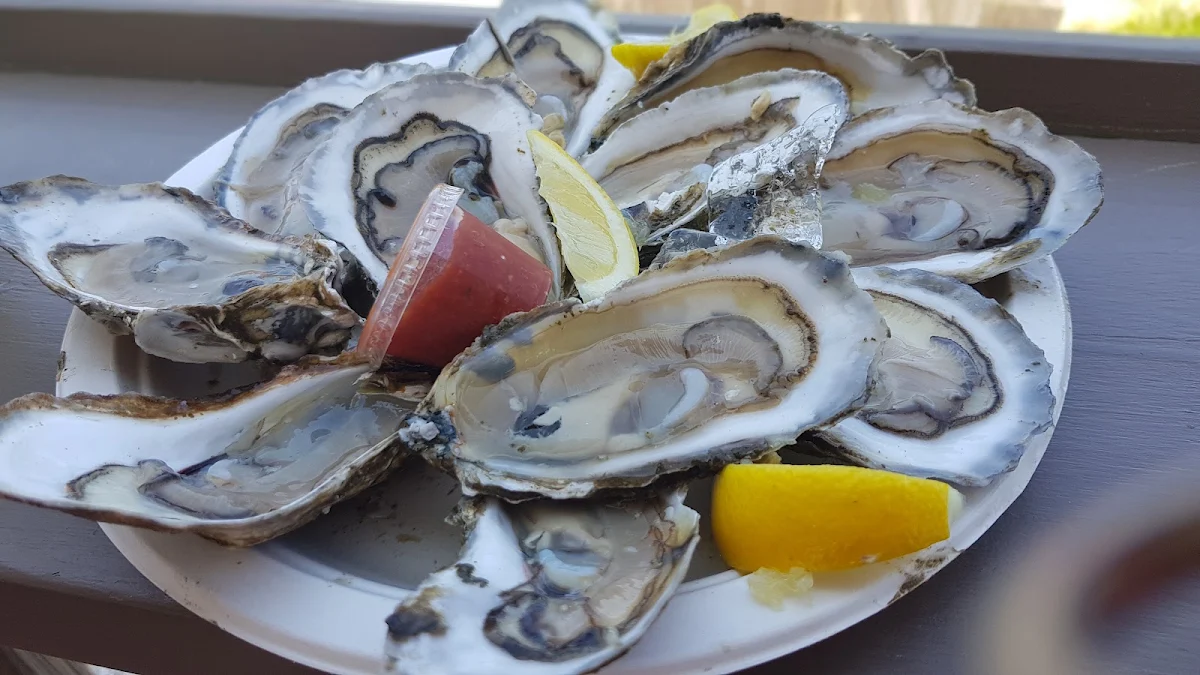 Fresh Oysters