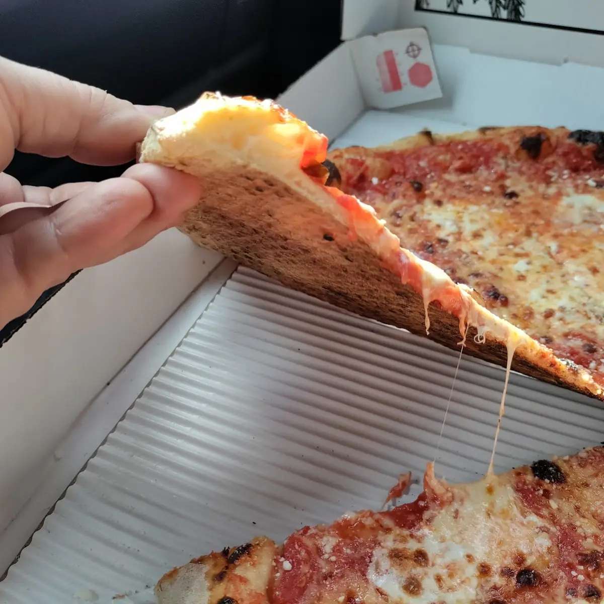 Plain Cheese Pizza