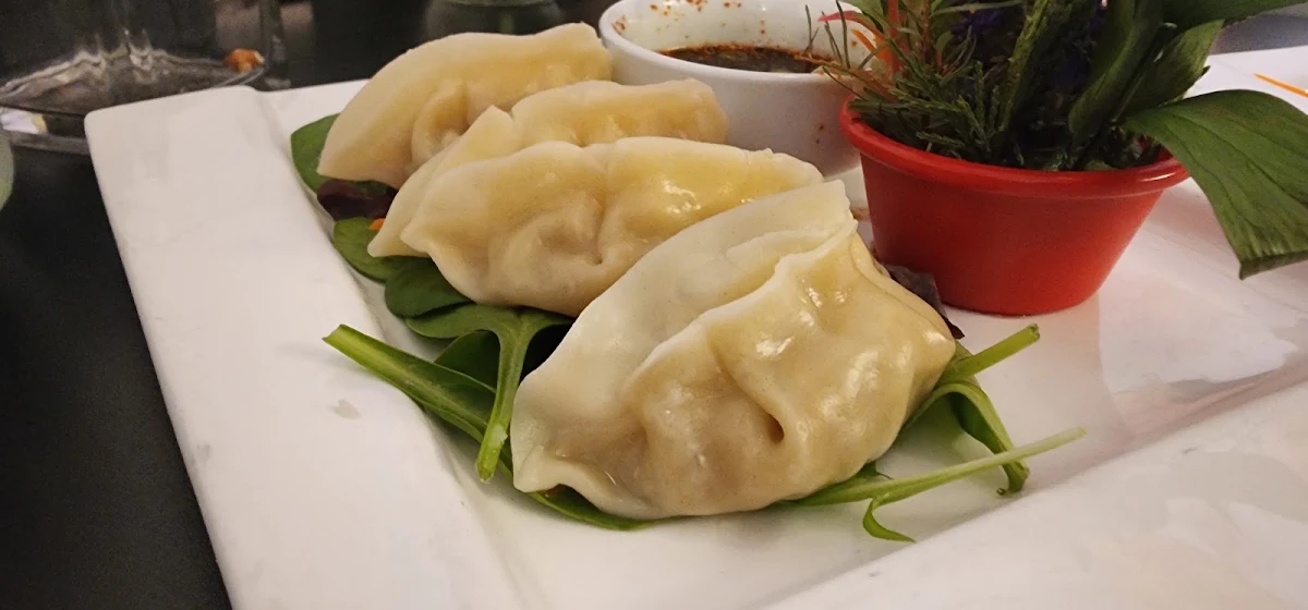 Gyoza Soup