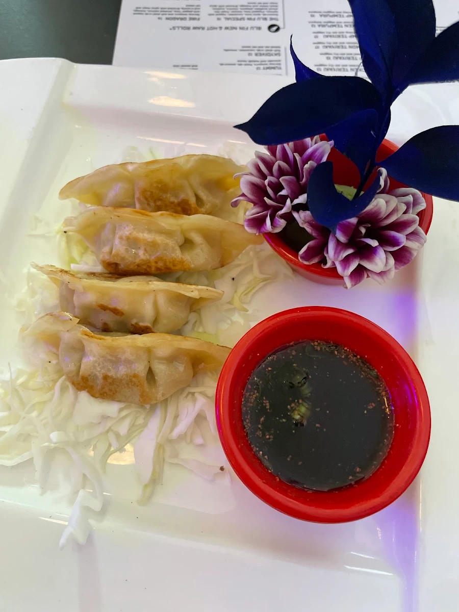Pan Fried Gyoza