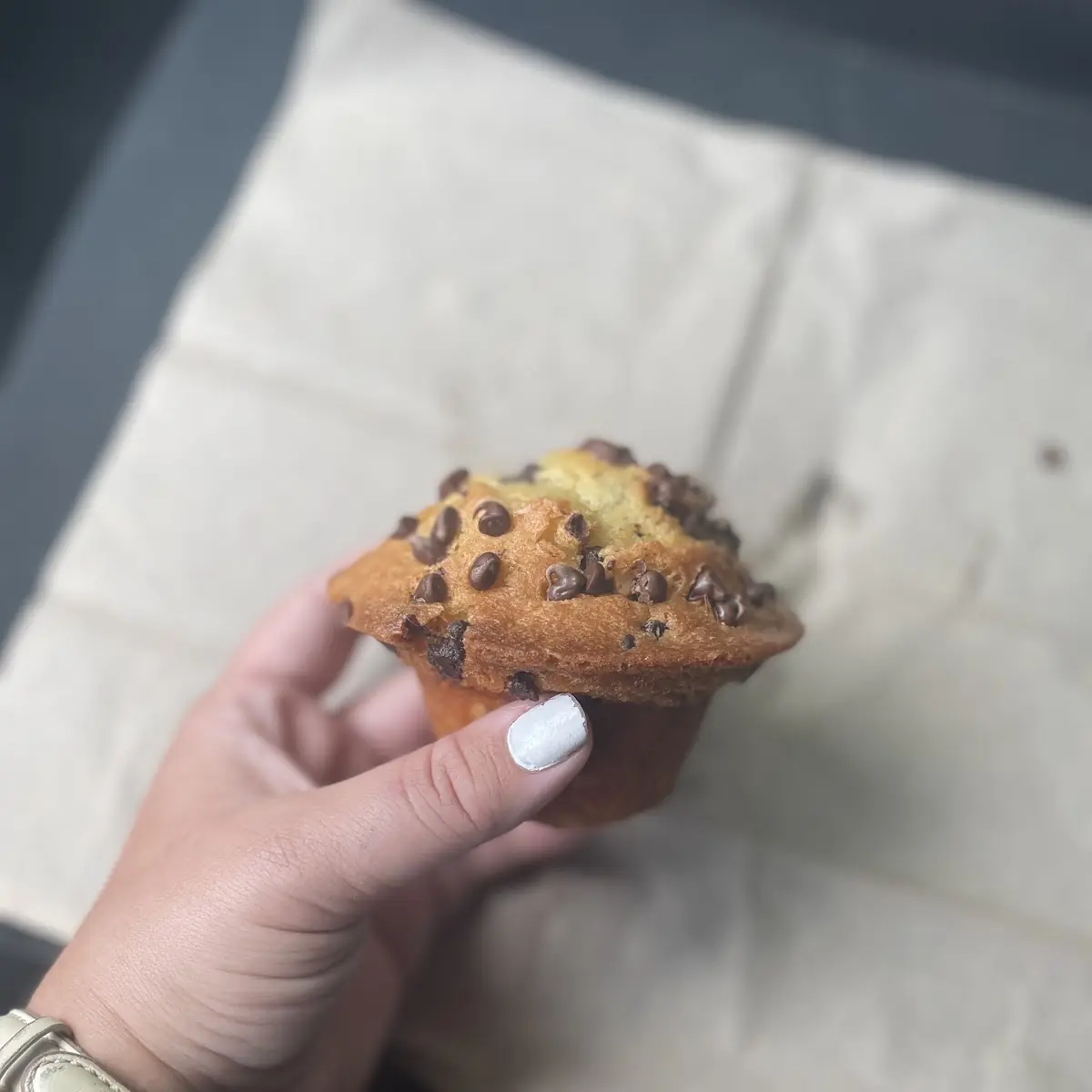 Chocolate Chip Muffin