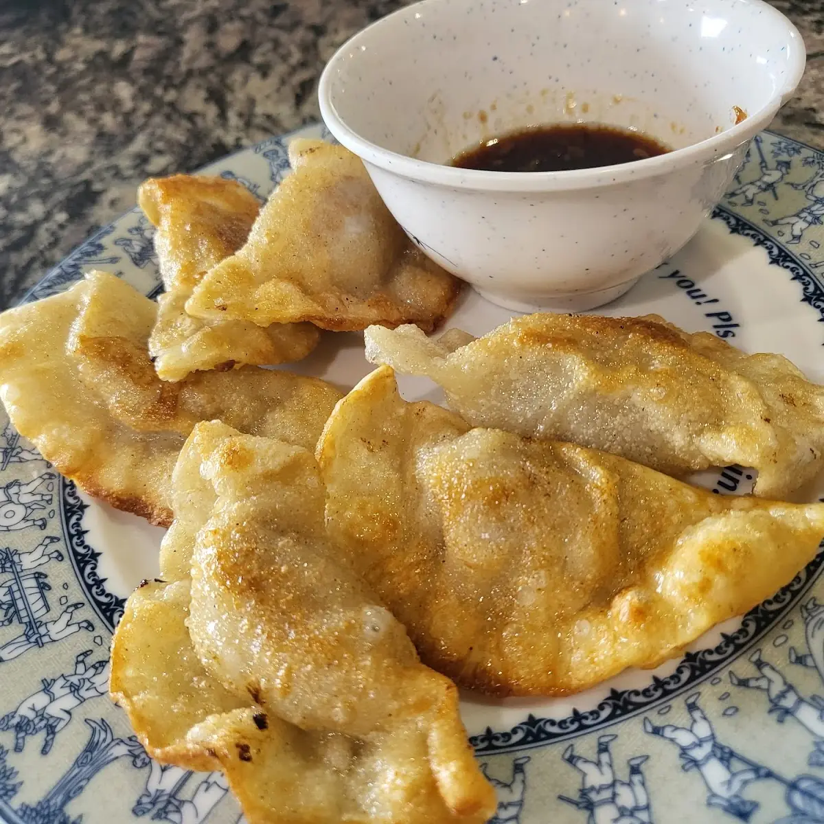Pork Dumplings