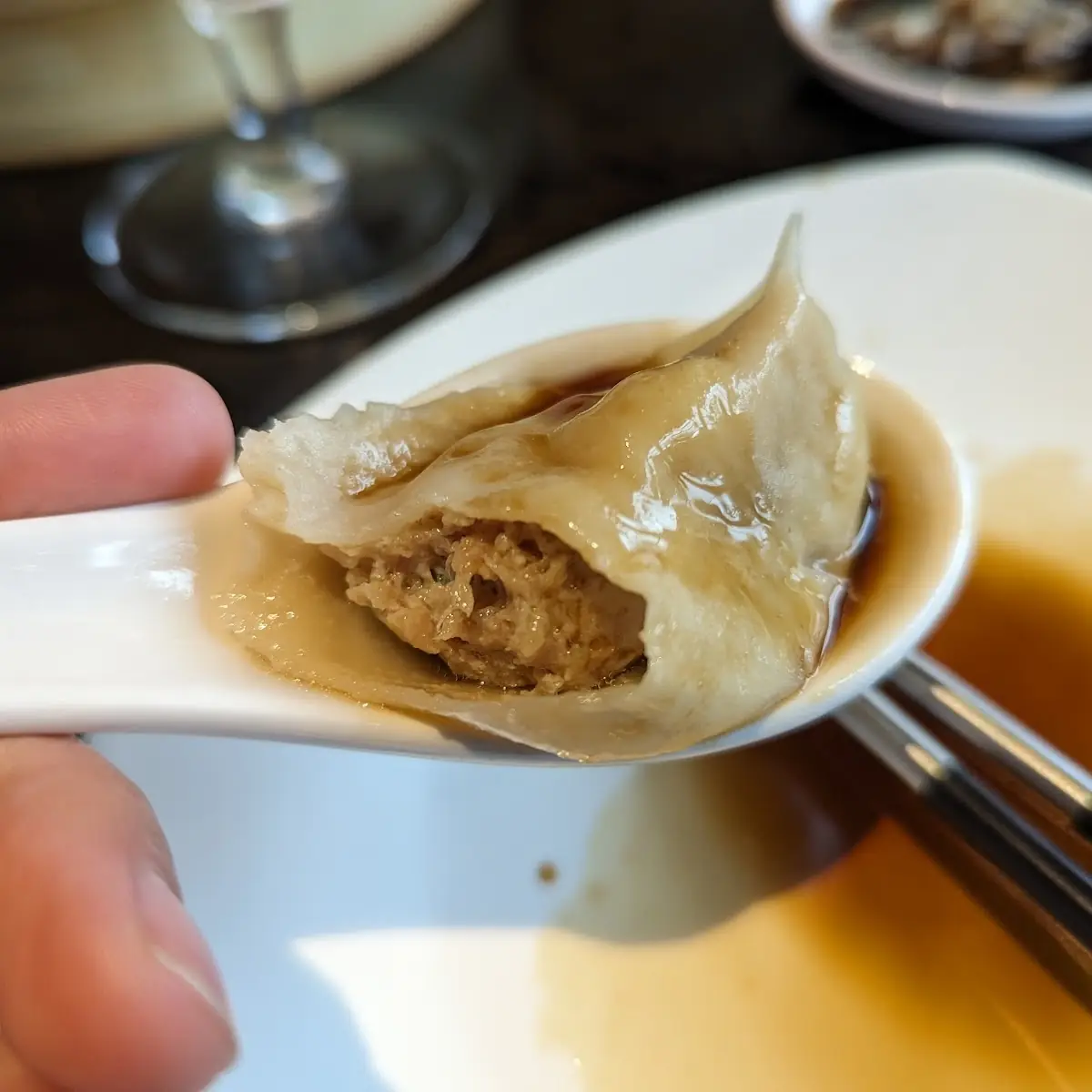 Chicken Dumplings
