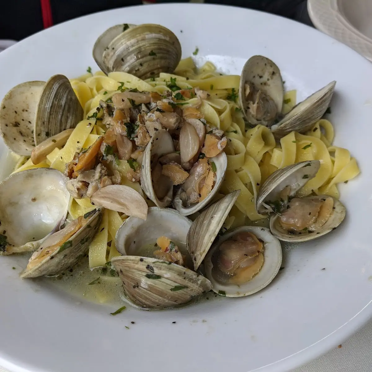 Linguini White Clam Sauce