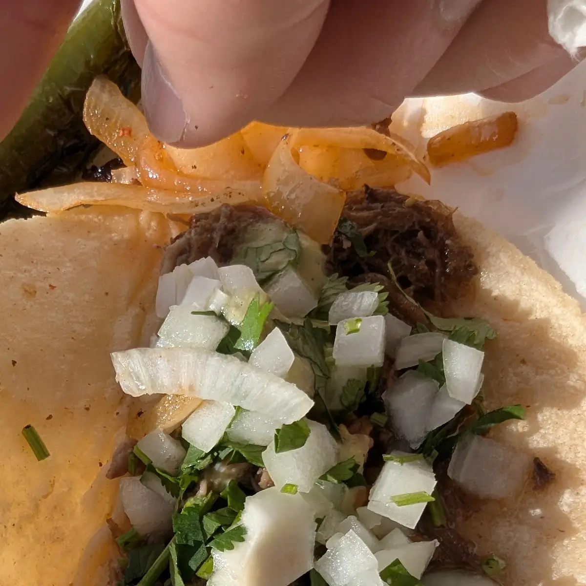 Pastor Taco