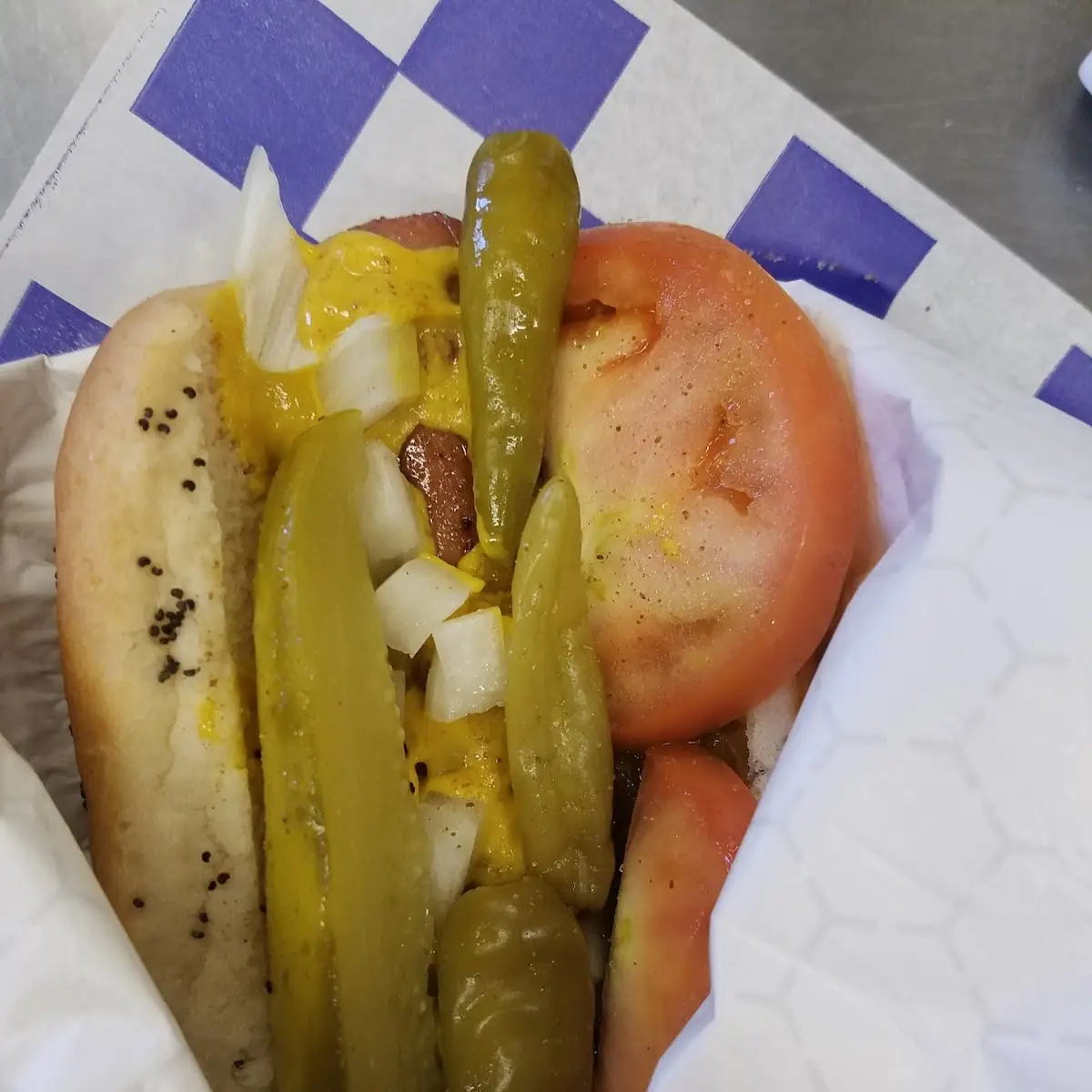 Chicago Dog