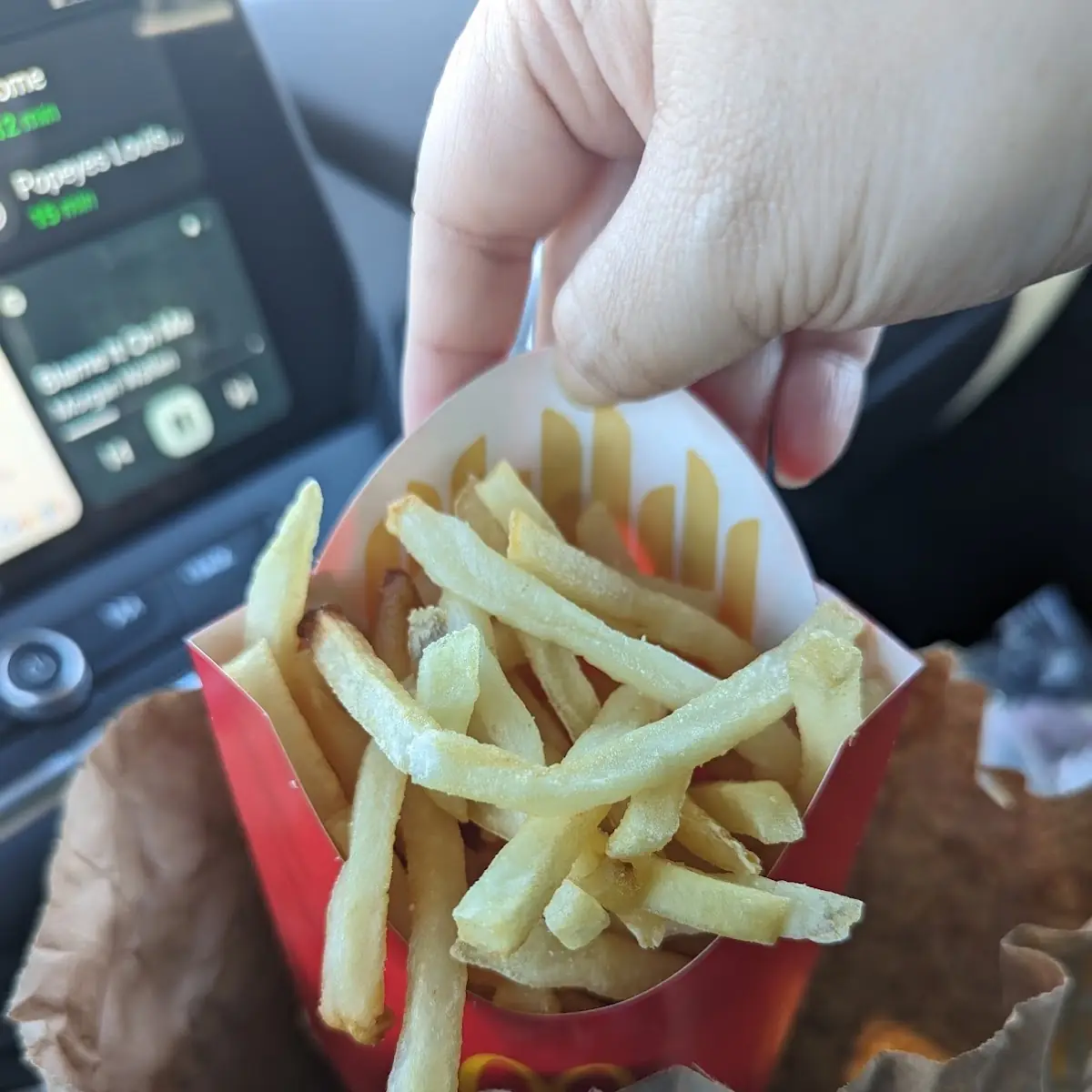 World Famous Fries