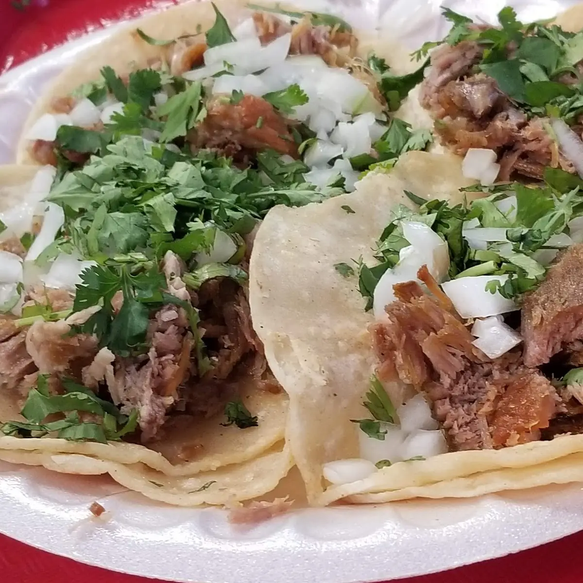 Carnitas Tacos