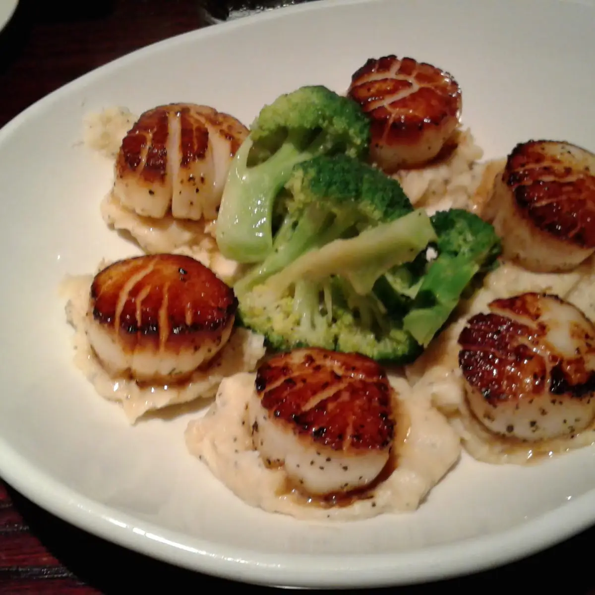 Seared Scallops Local Wild