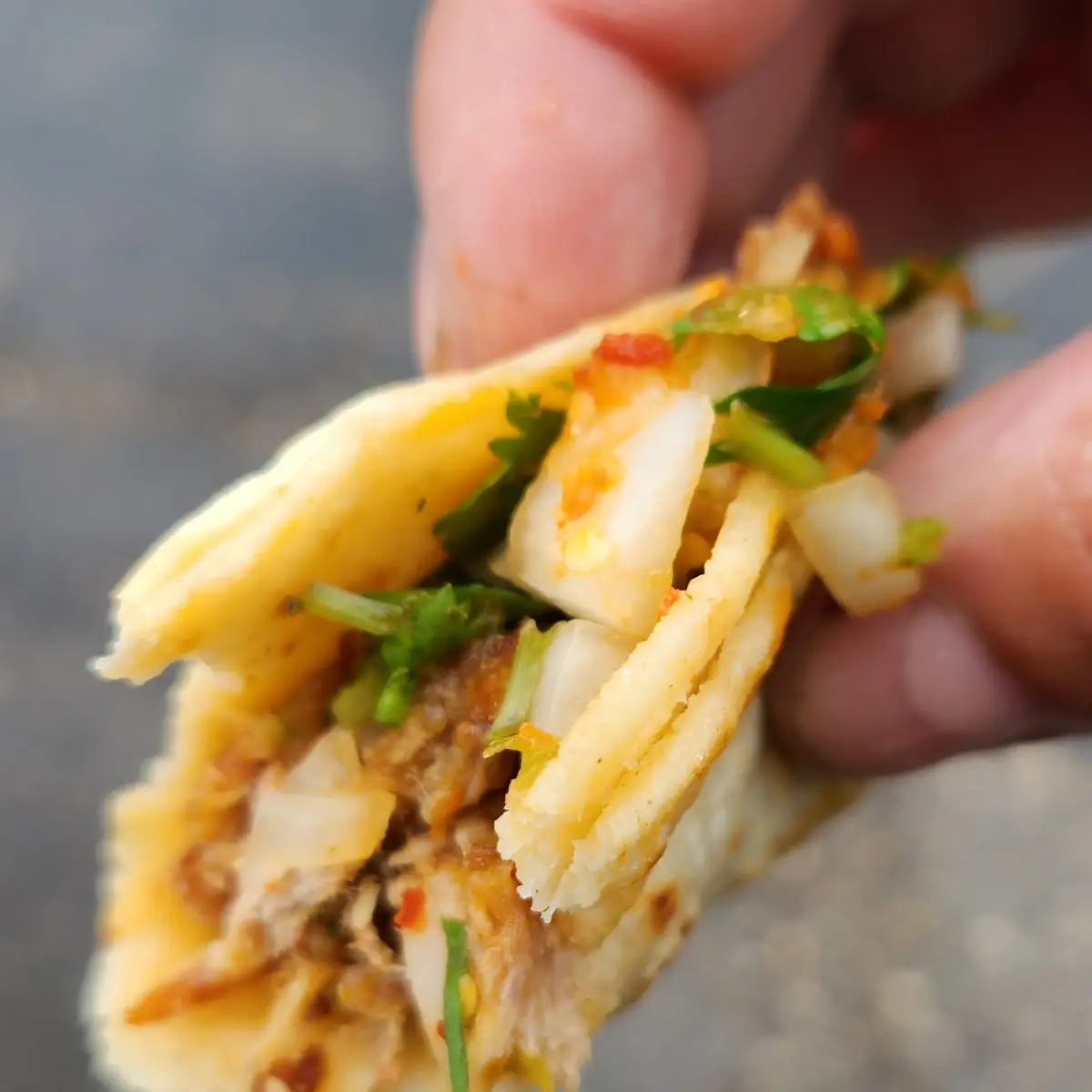 Carnitas Taco