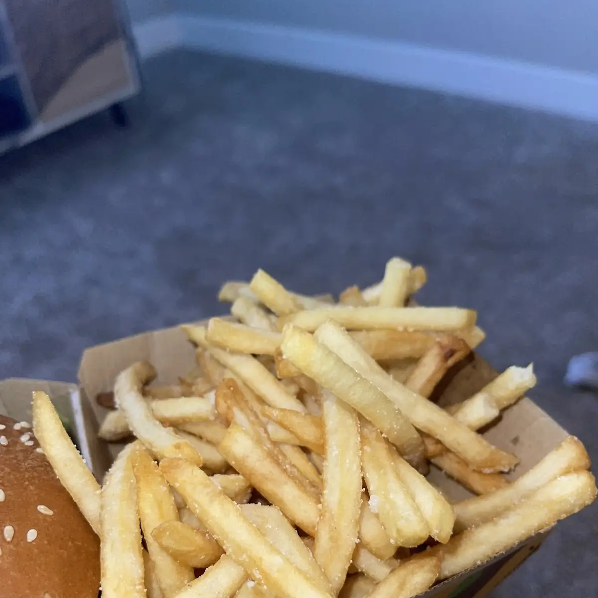 World Famous Fries