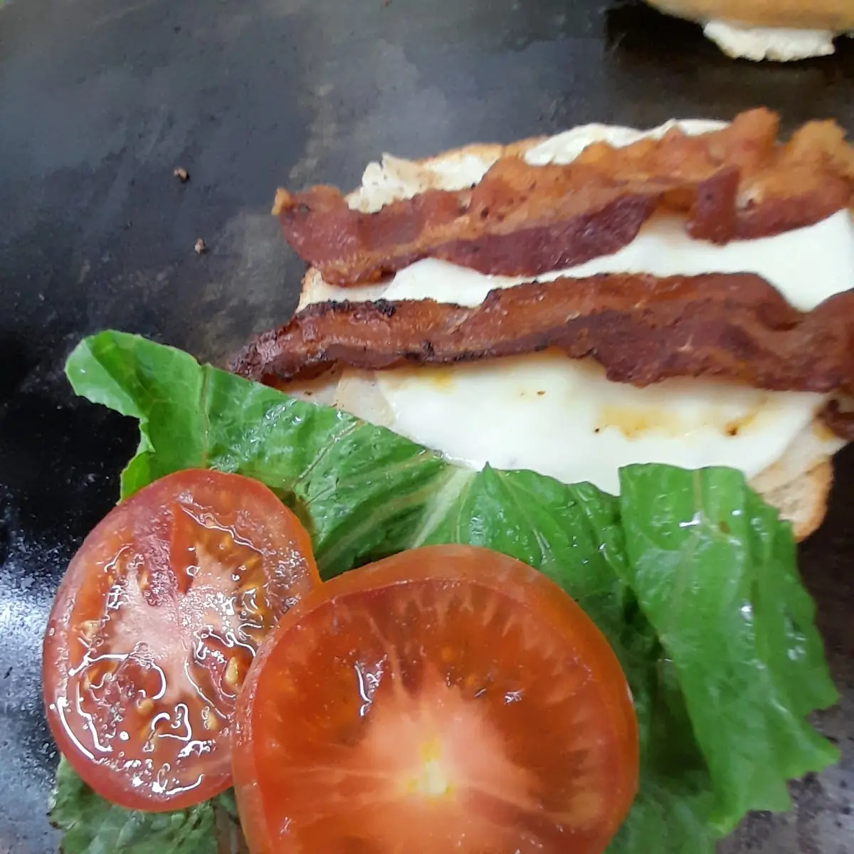 Turkey Bacon Melt