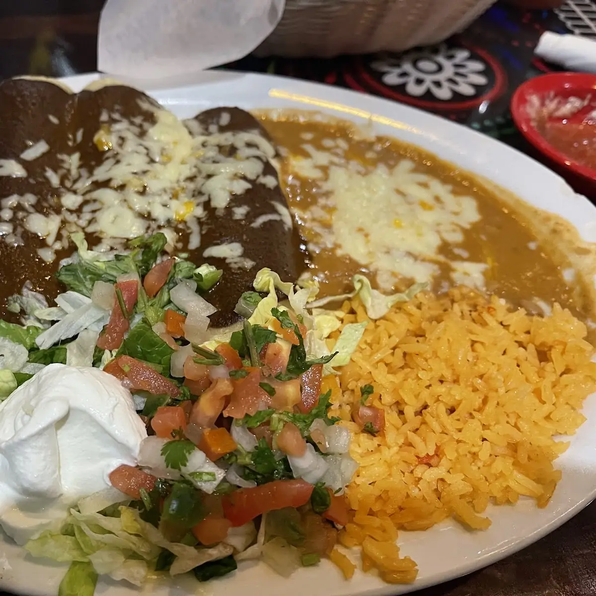 Shredded Chicken Enchiladas