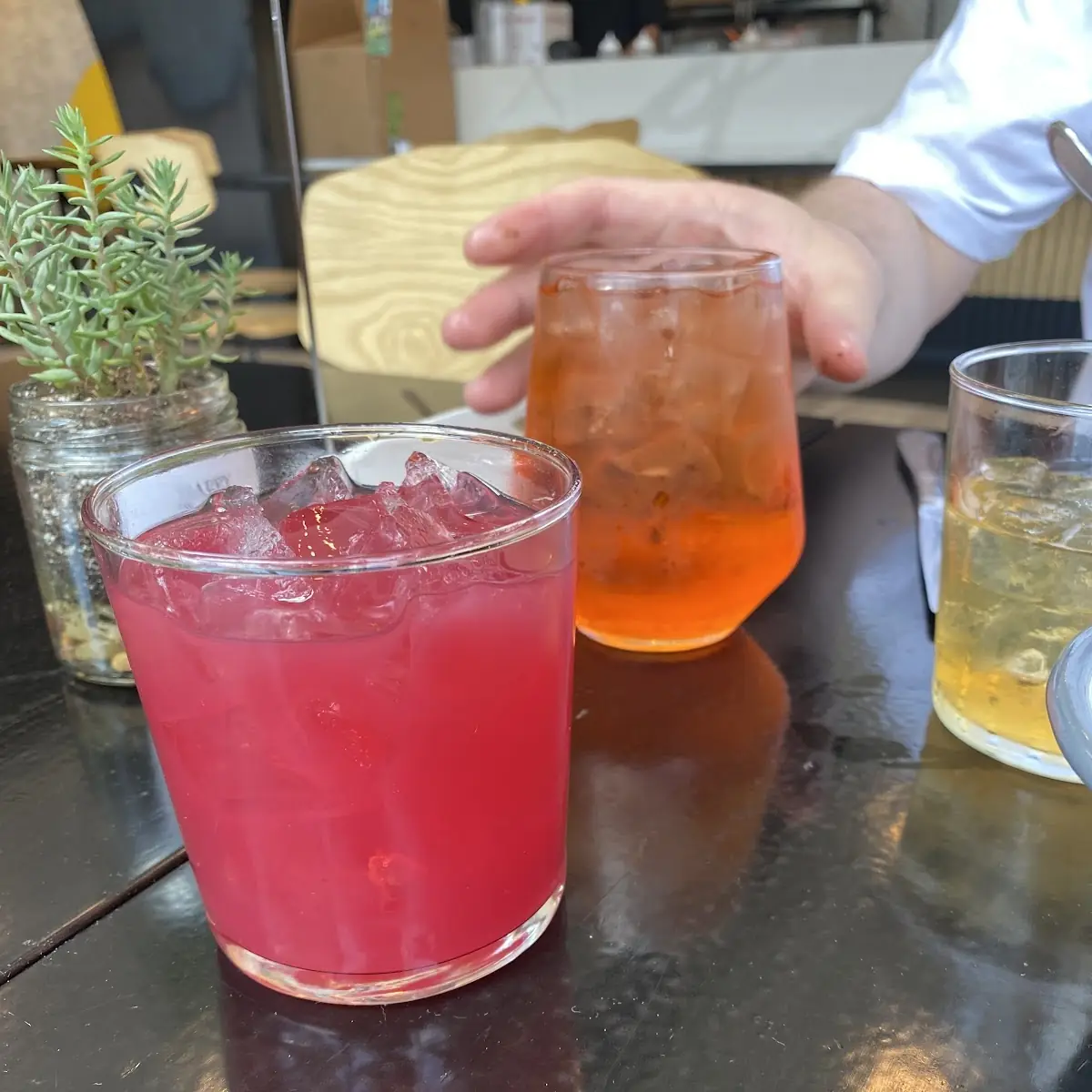 Negroni and an Old Fashioned