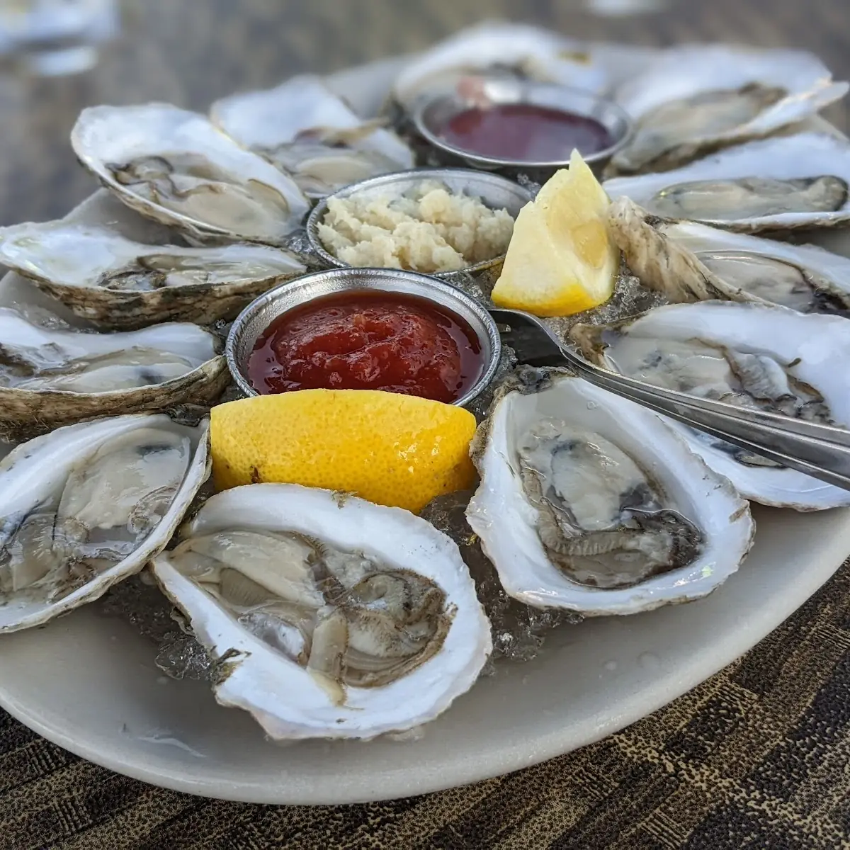 Raw Oysters and Fried Calamari