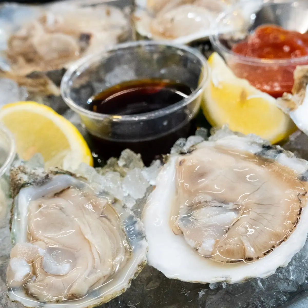 Oysters on the Half Shell by Half Dozen