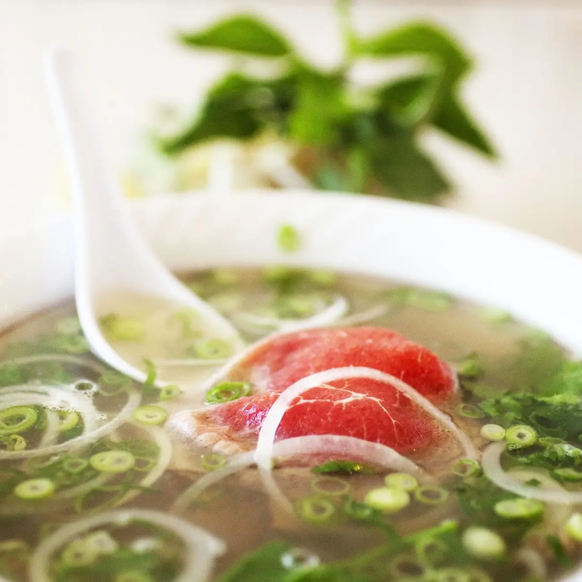 Pho 75