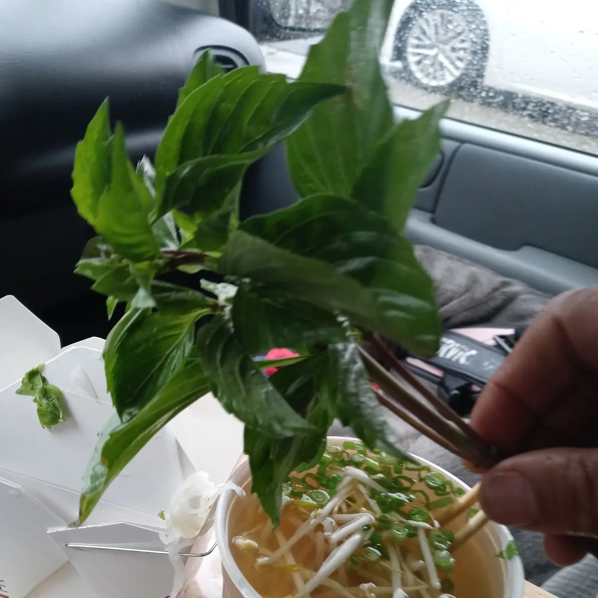 Vegetable Pho Tai