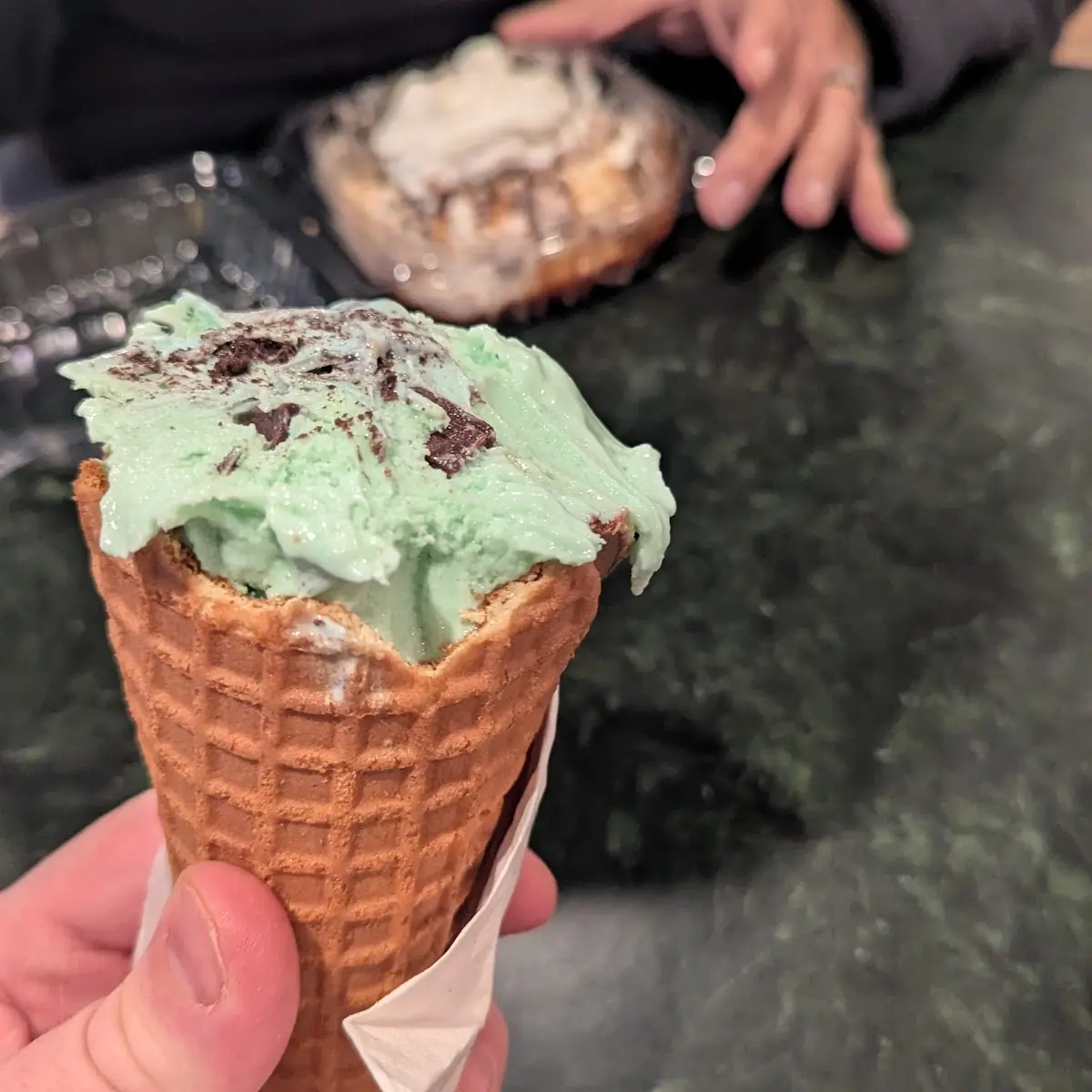 Mint Chocolate Chip Ice Cream
