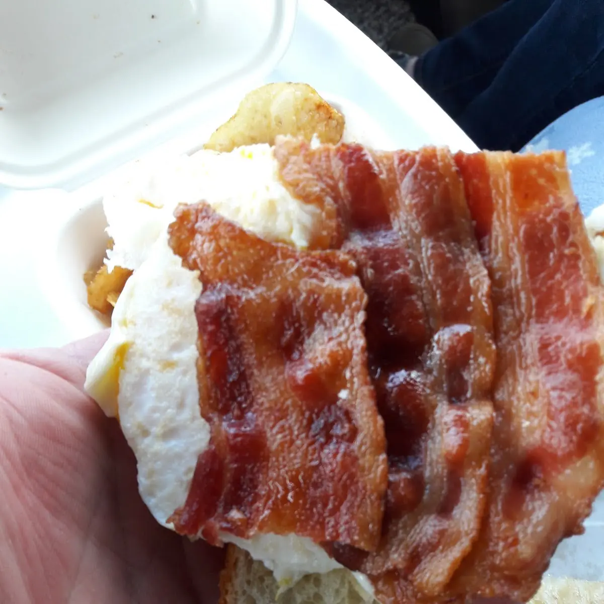Look at the Bacon