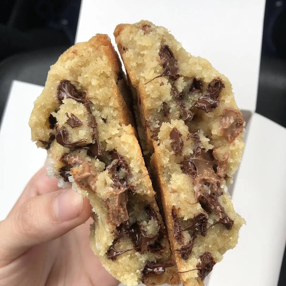Chocolate Chip Cookie