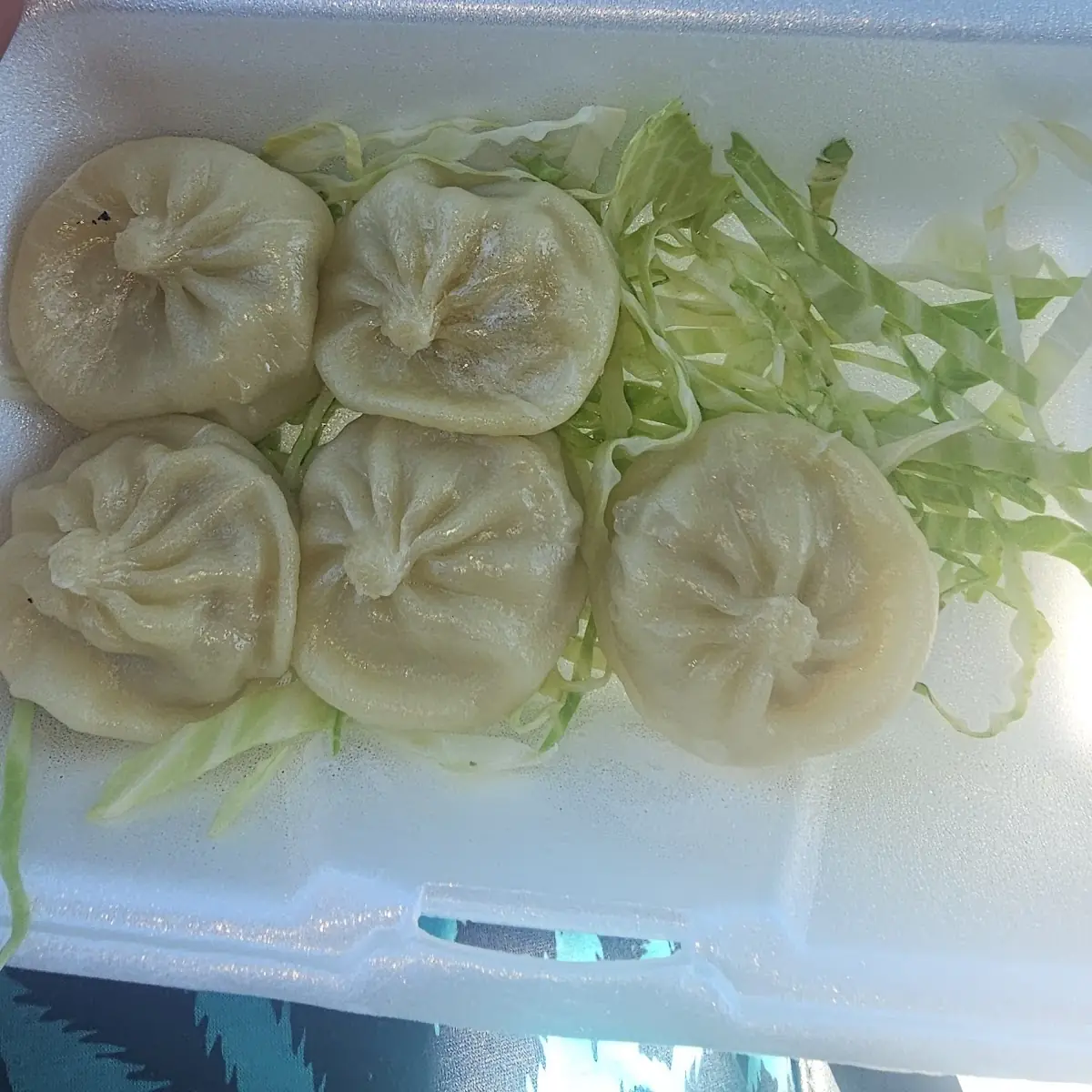 Xiao Long Bao Soup Dumplings