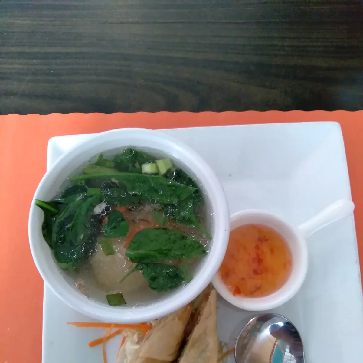 Wonton Soup Veggie Spring Roll