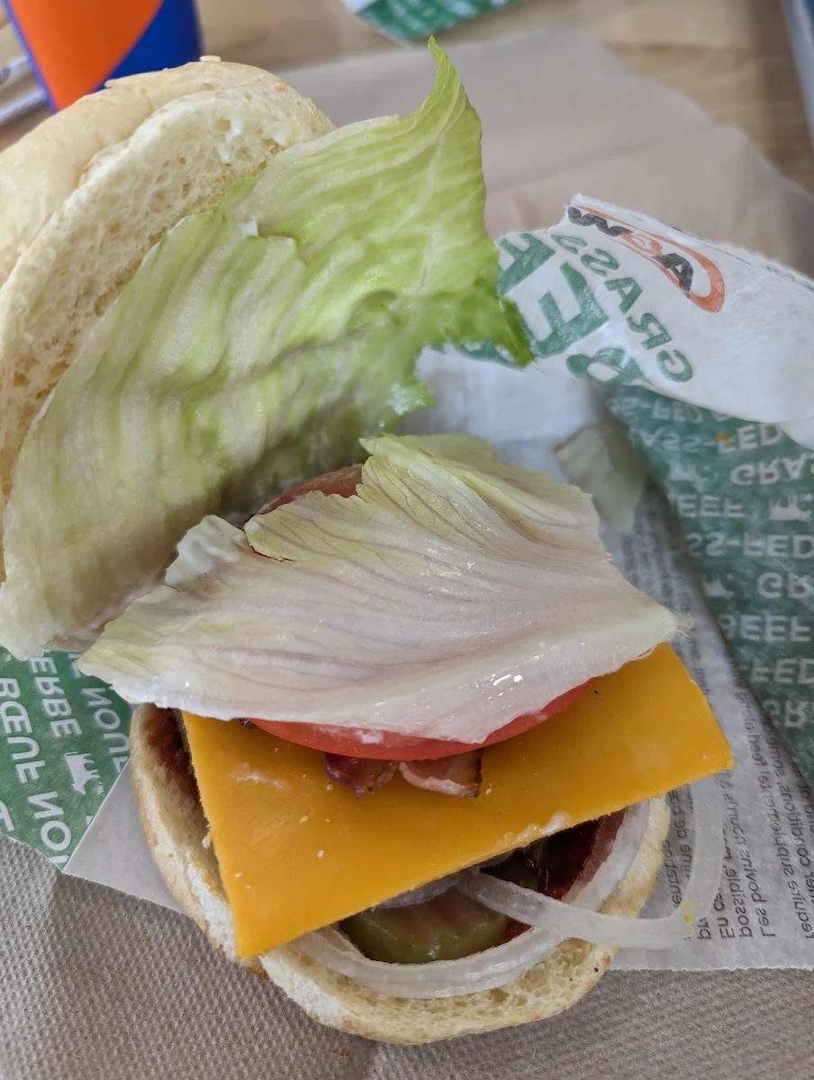 Teen Burger