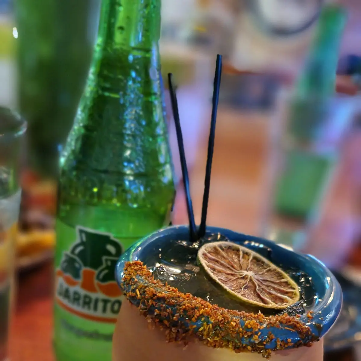 Paloma on Draft