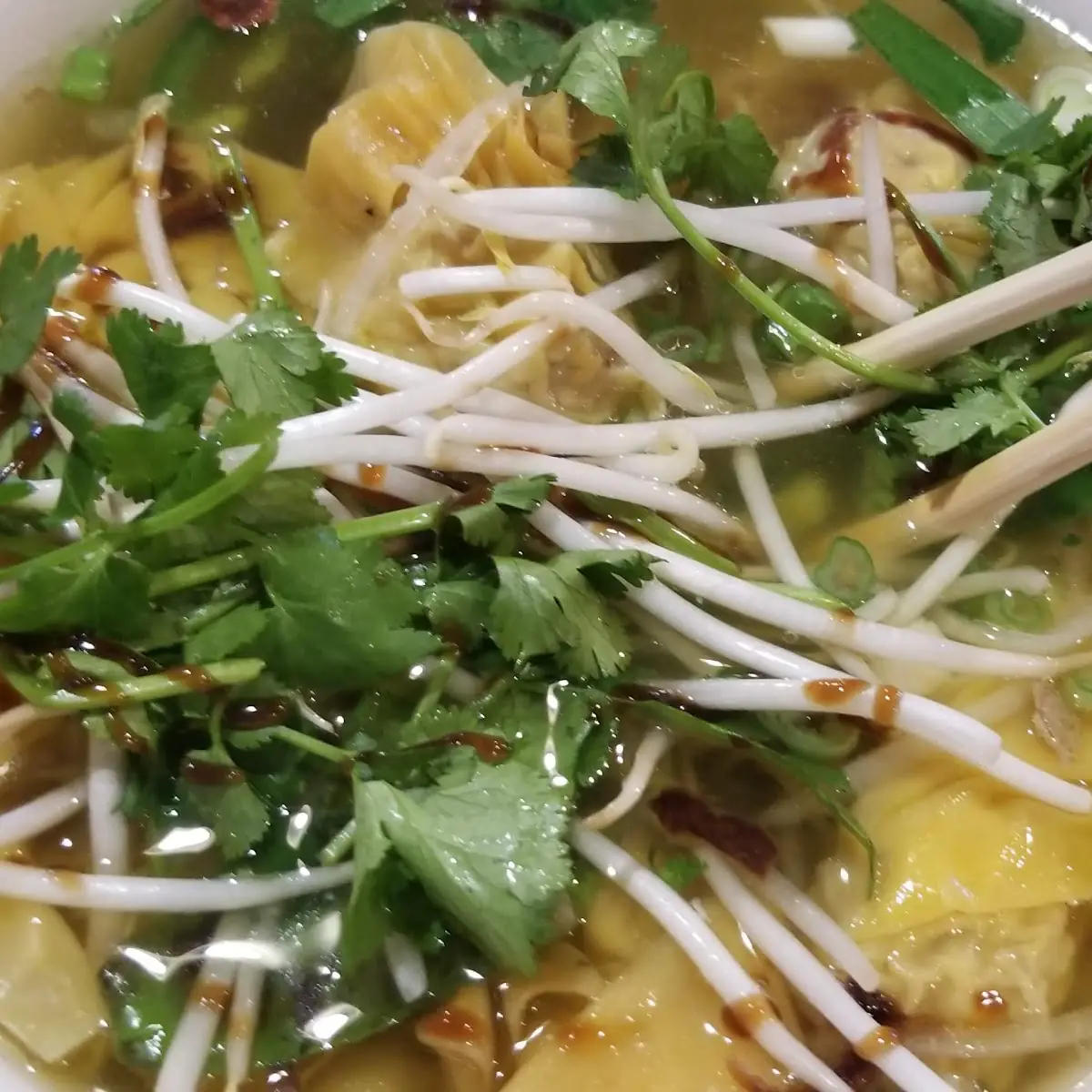 Won Ton Noodle Soup