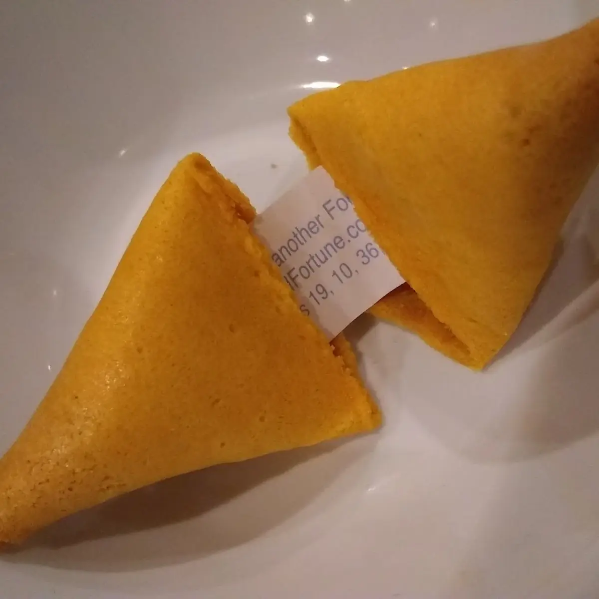 Fortune Cookie