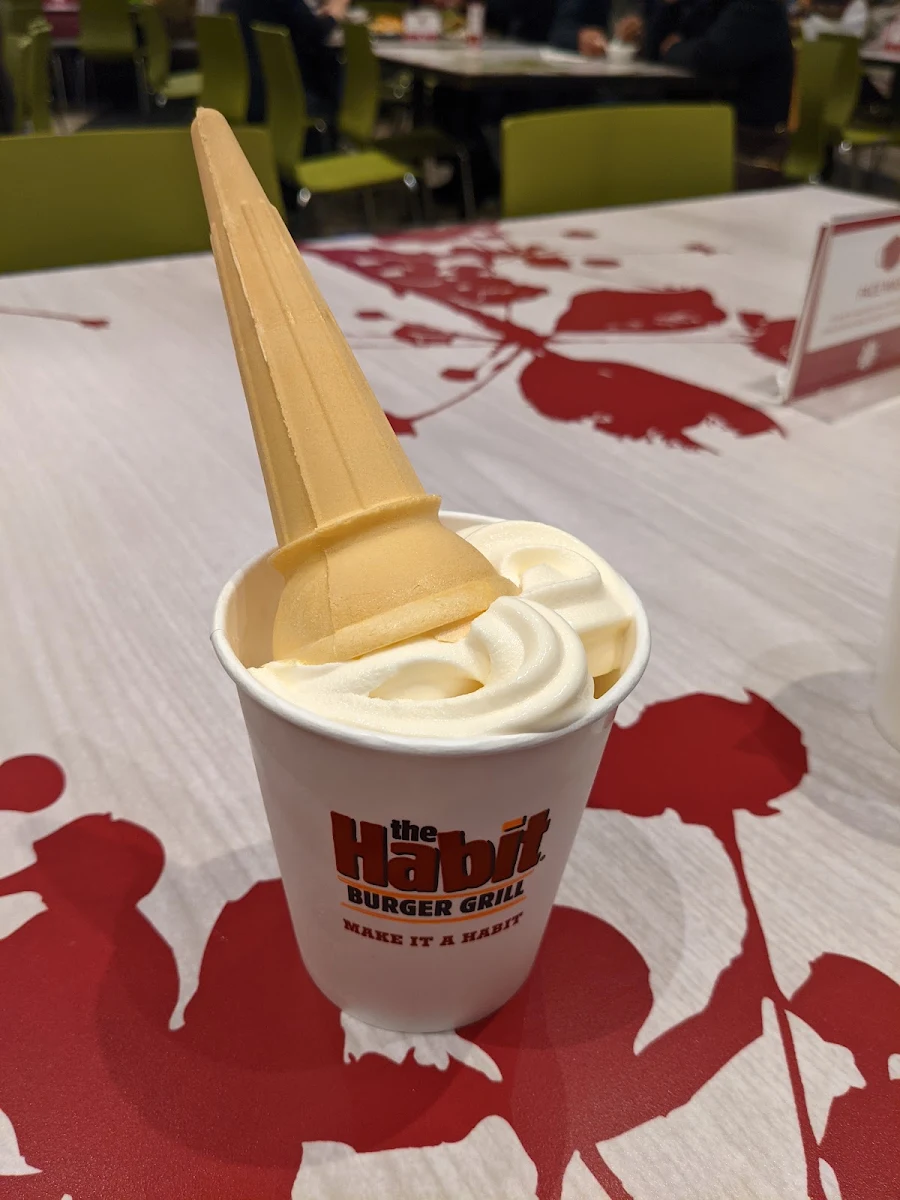Ice Cream Cone 1 30 August 2021