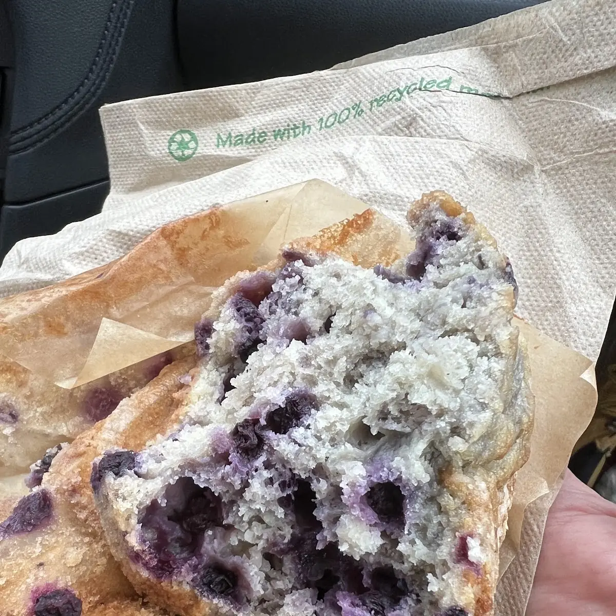 Blueberry Muffin