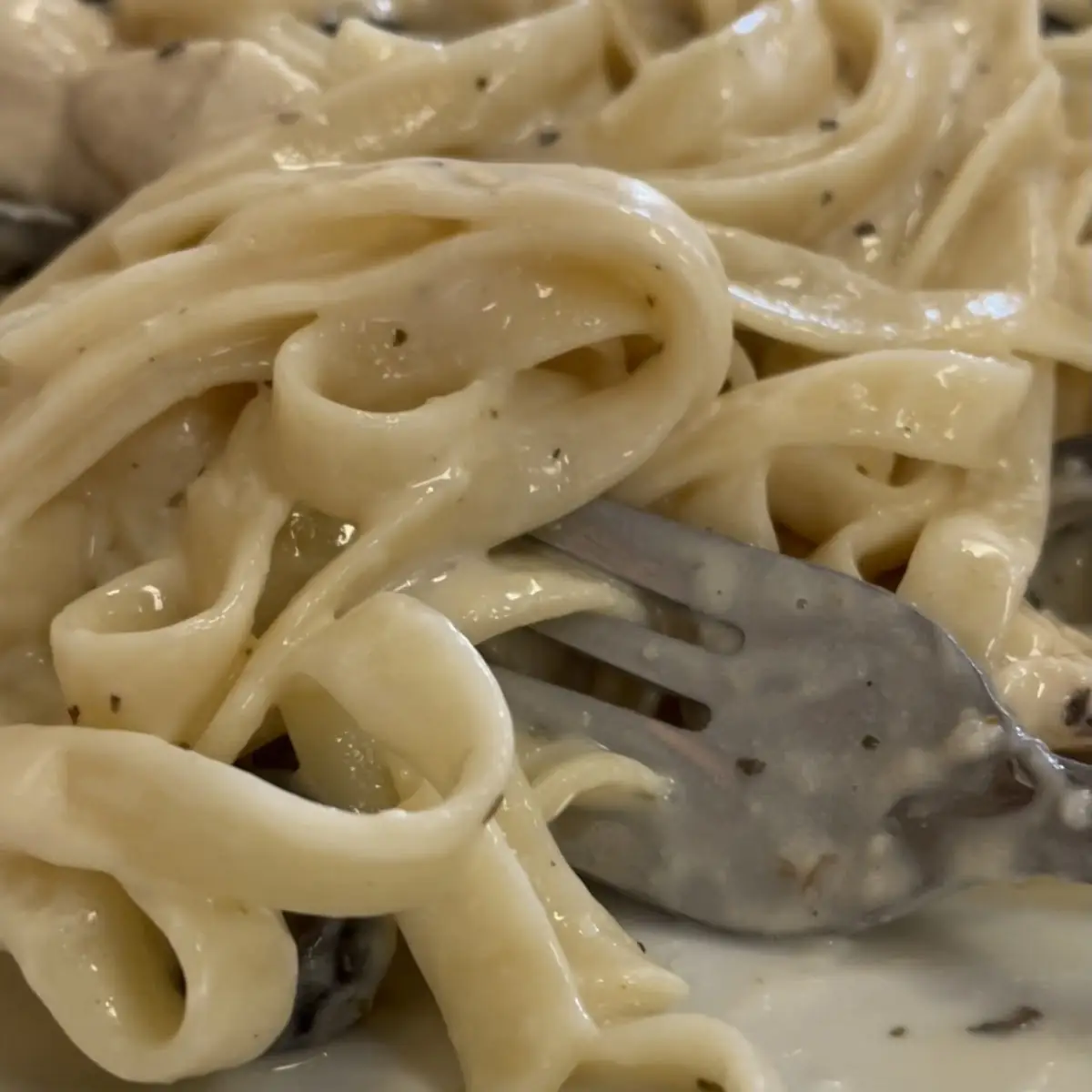 Chicken Alfredo