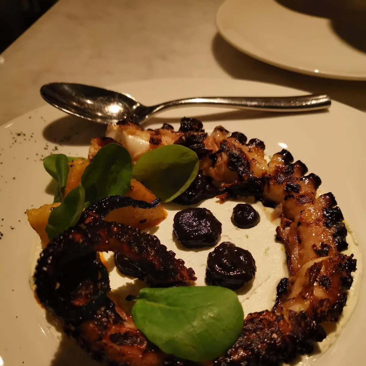 Grilled Octopus