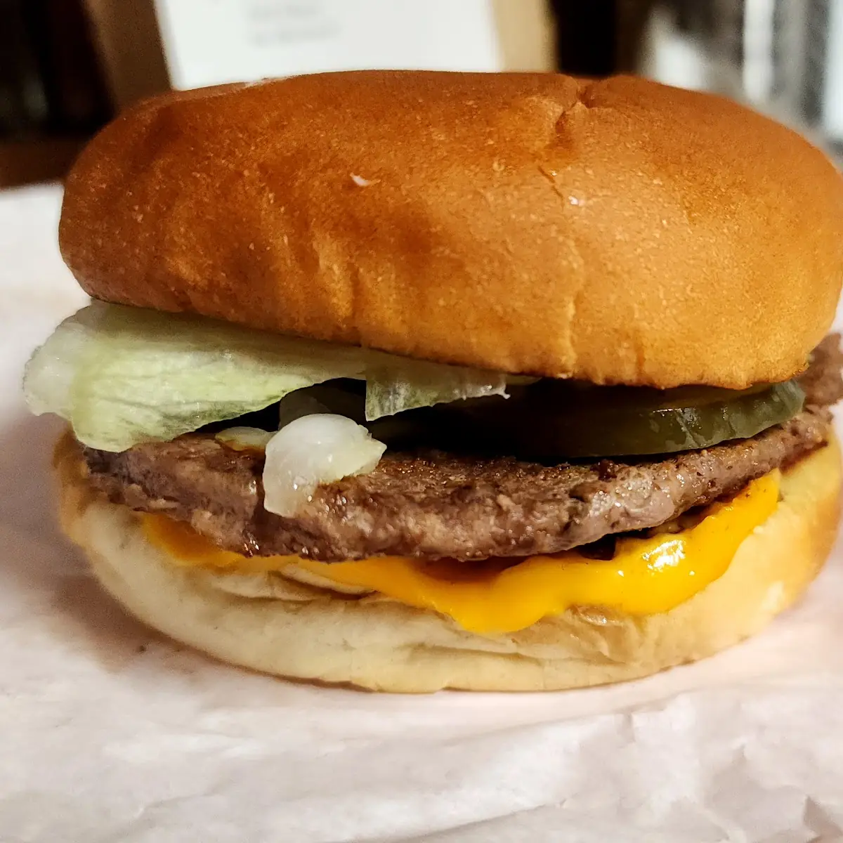 Plain and Dry Burger