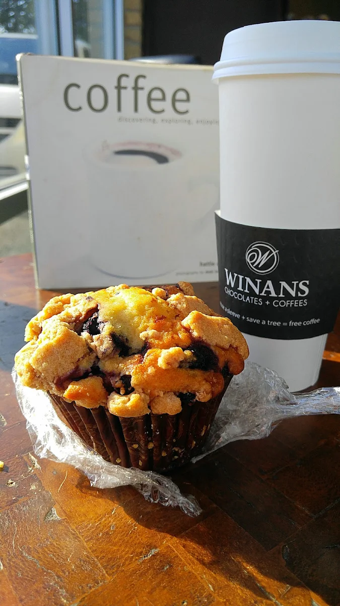 Blueberry Muffin