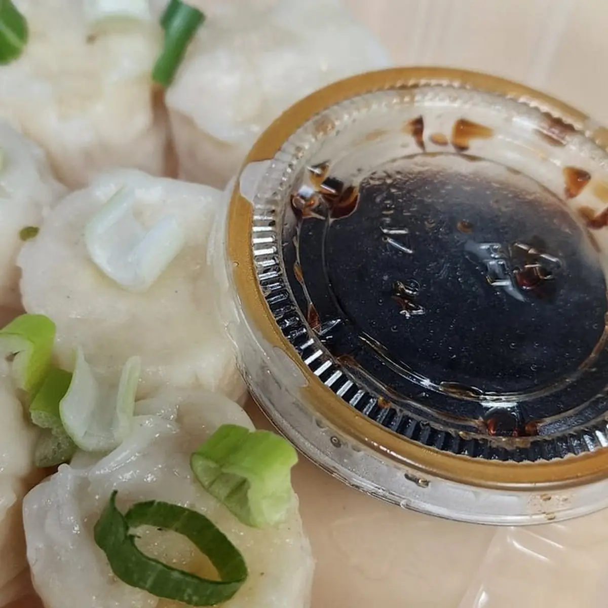 Steamed Dumplings