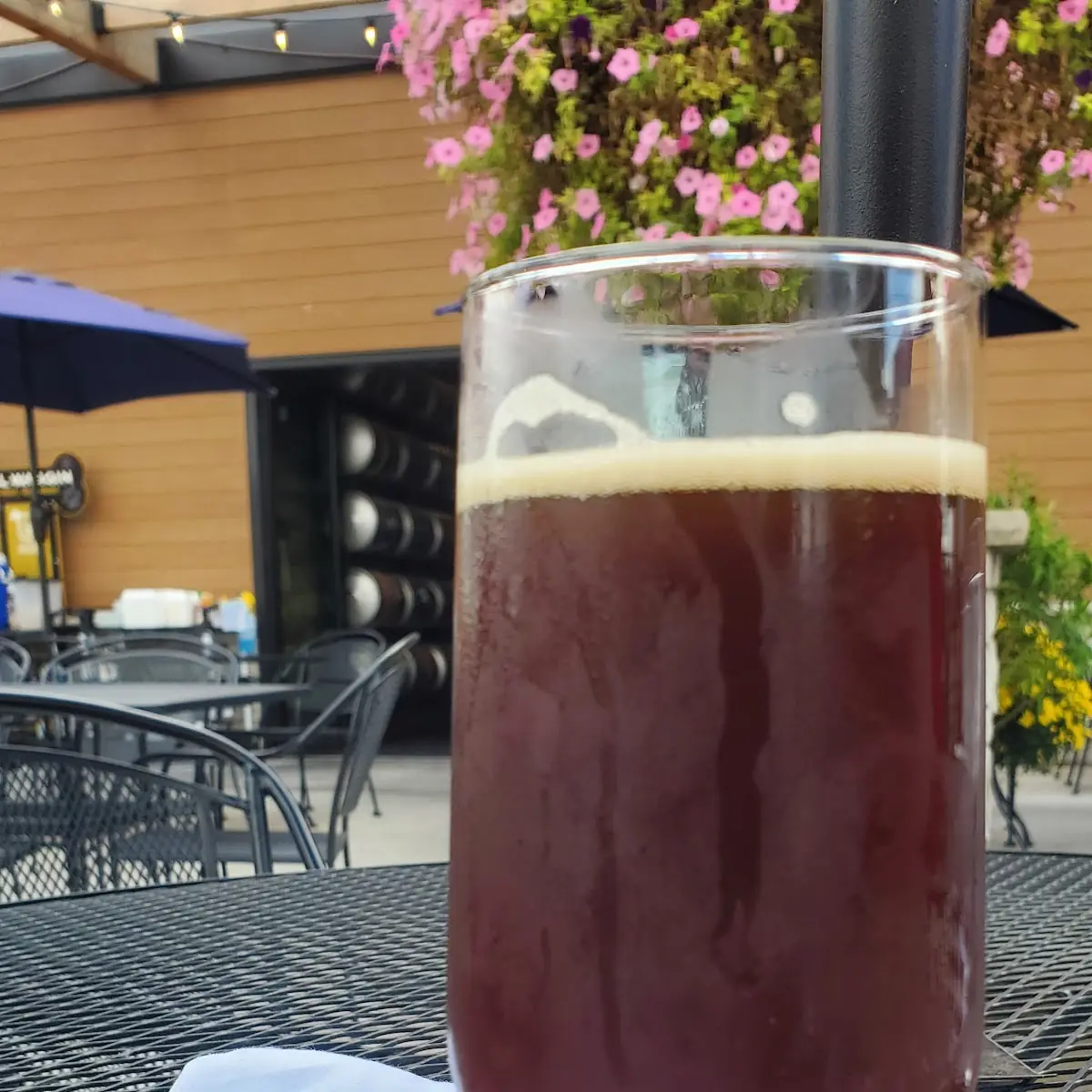 Surly Barrel-Aged Pentagram Dark Sour